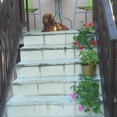 Utulny Privat Csemi *